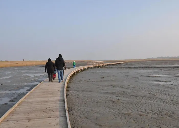 Holiday home Eul F5 By Interhome Grosswurden